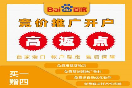 竞价广告投放技巧与案例分析